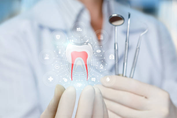 Professional Holistic Dental Care Services in Rolesville, NC